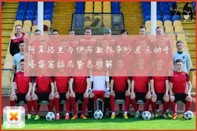 阿莱格里与伊布激烈争吵差点动手塔雷富拉尼紧急劝解